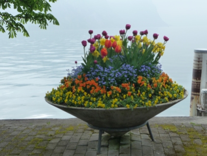 Spring flowers Lake Lucerne