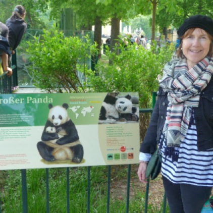 Giant Panda Enclosure Schoenbrunn Tiergarten