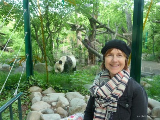 Finally seeing a "real" panda again!