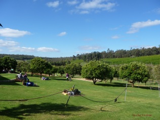 View across to the fruit orchards