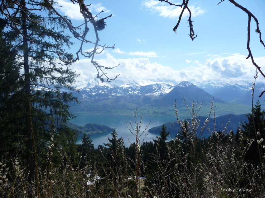 View from Rigi Kaltbad down to Lake Lucerne