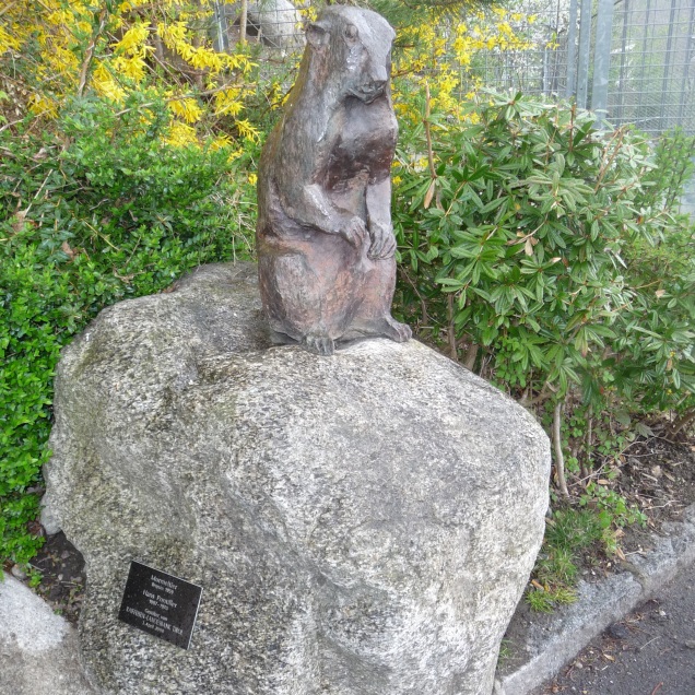 Marmot statue Alpenzoo