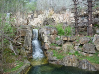 Waterfall bear enclosure