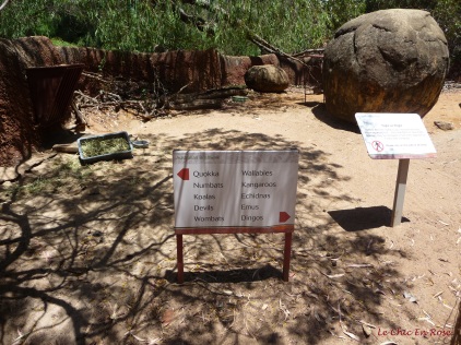 The zoo is very well signposted - these are the animals you will find in the Australian Bushwalk area