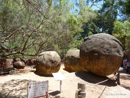 Rocks help to recreate a typical bushland setting in the outback