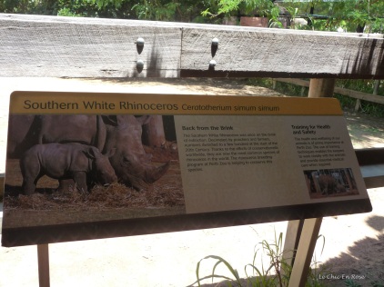 Information about the Rhinoceros