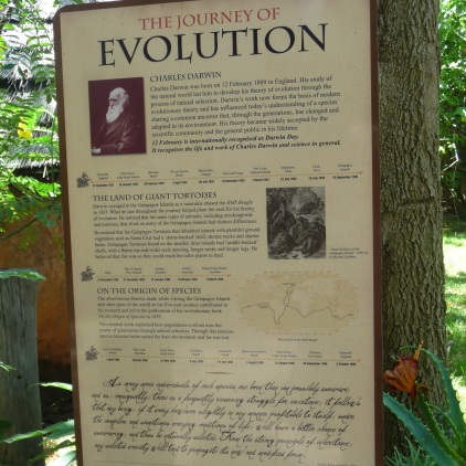 A quick guide to evolution!