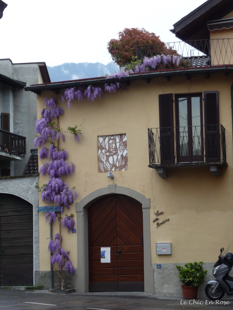 Wisteria climbing up walls typical buildings in side streets of Minusio