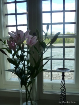 Flowers in the window - watching the Danube flow by the Wurstkuchl