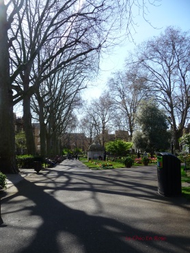 Spring sunshine in Paddington Street Gardens
