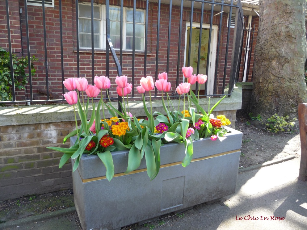 Tulip planter box in Paddington Street Gardens
