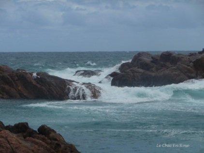 Waves pounding the rocks
