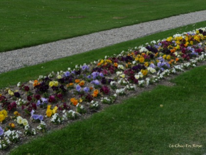Colourful floral displays