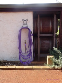 Even the water hose sticks to the lavender theme!