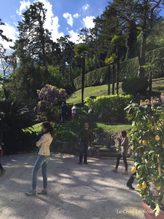 Terraced Gardens Of Villa del Balbianello