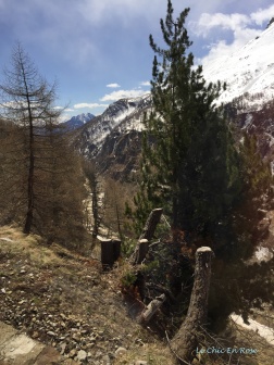 Alpine Scenery Bernina Pass