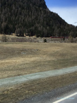 Bernina Train On Opposite Side Of The Valley Near St Moritz