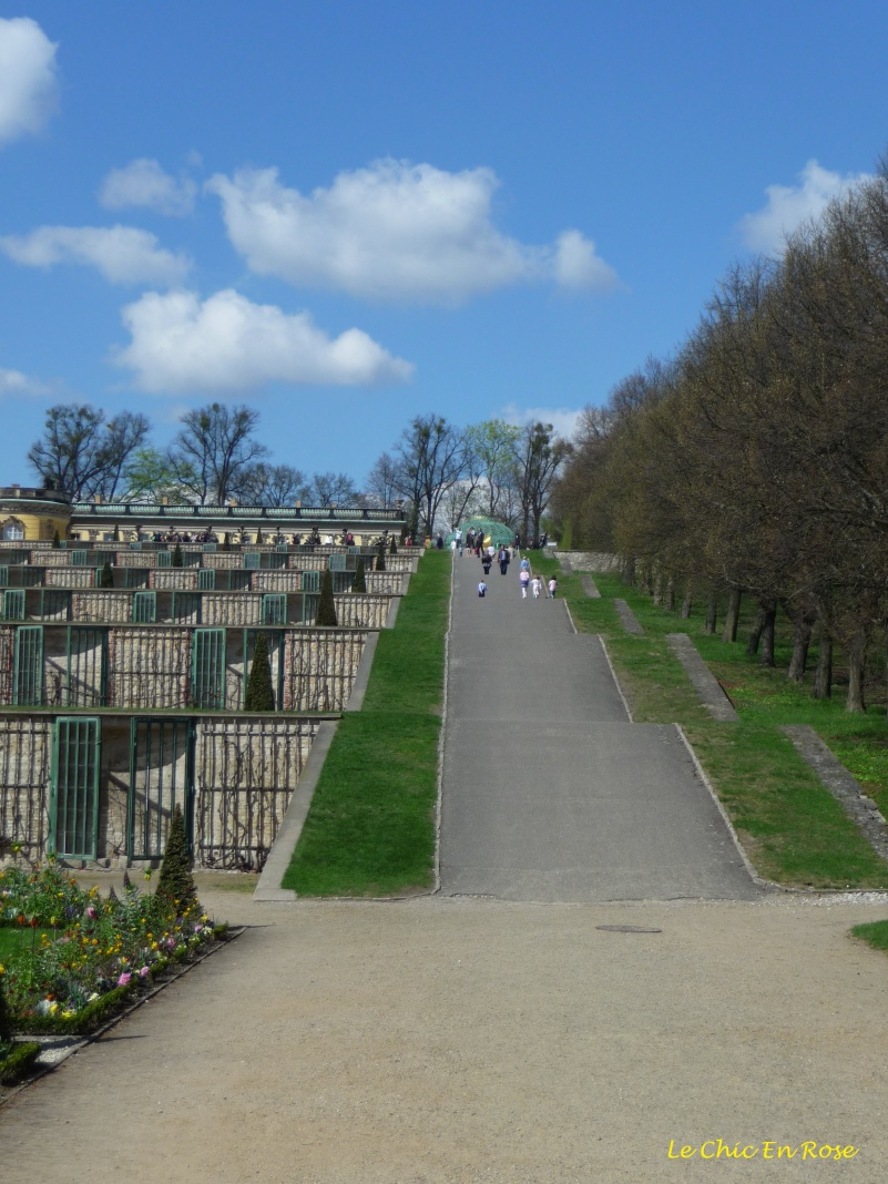 Sanssouci Park - Terraces Leading Up To The Palace