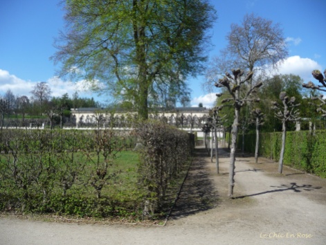 Gardens Near Sanssouci Palace