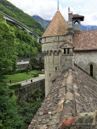 View from the tower top