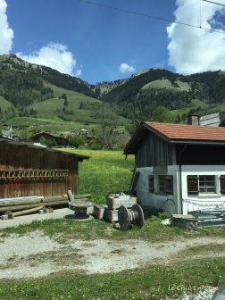 Farm Bernese Oberland